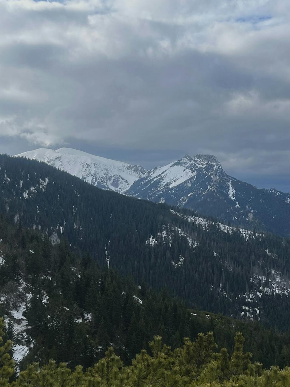 Mountain Vista