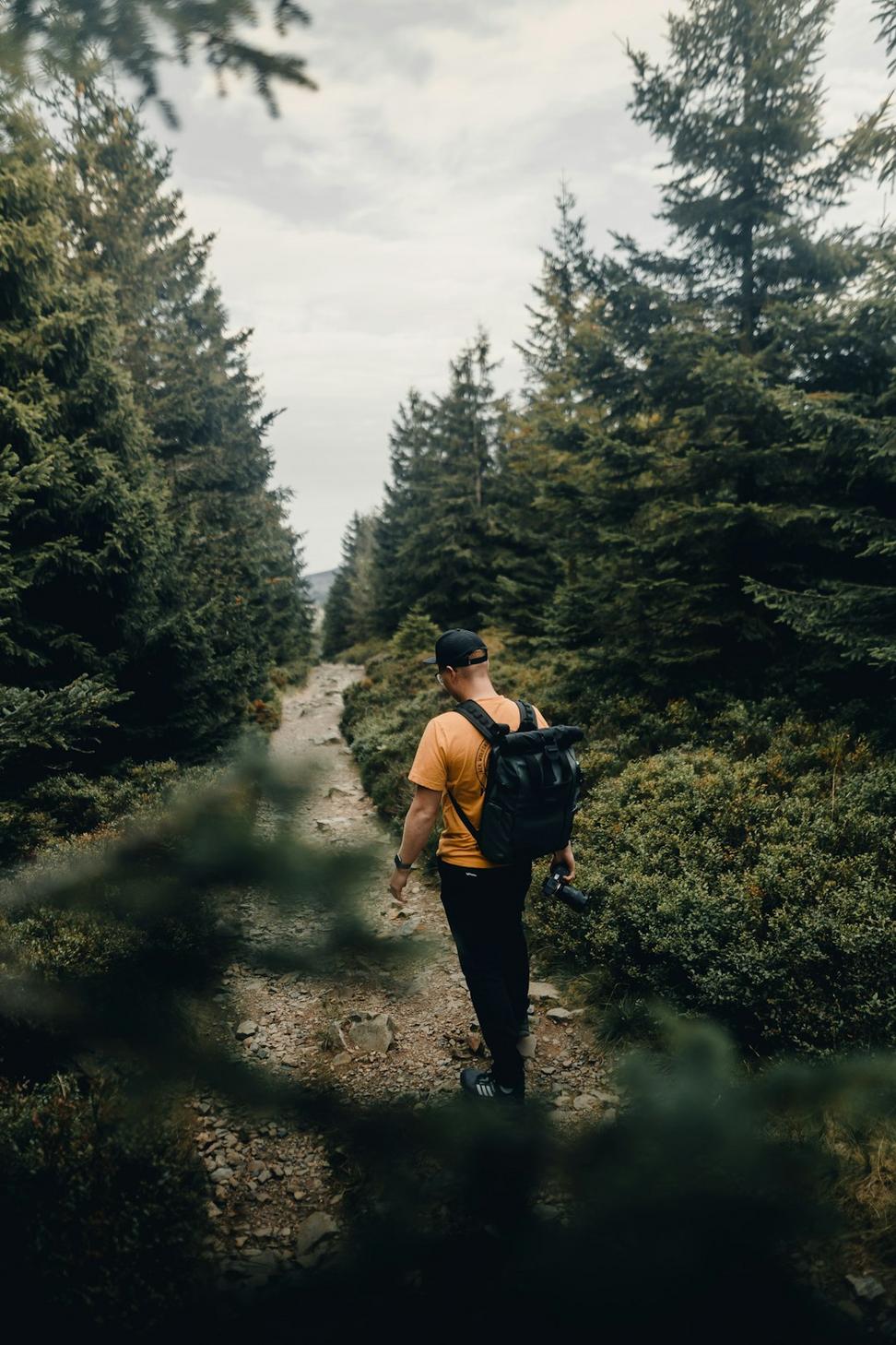 Hiking Adventures